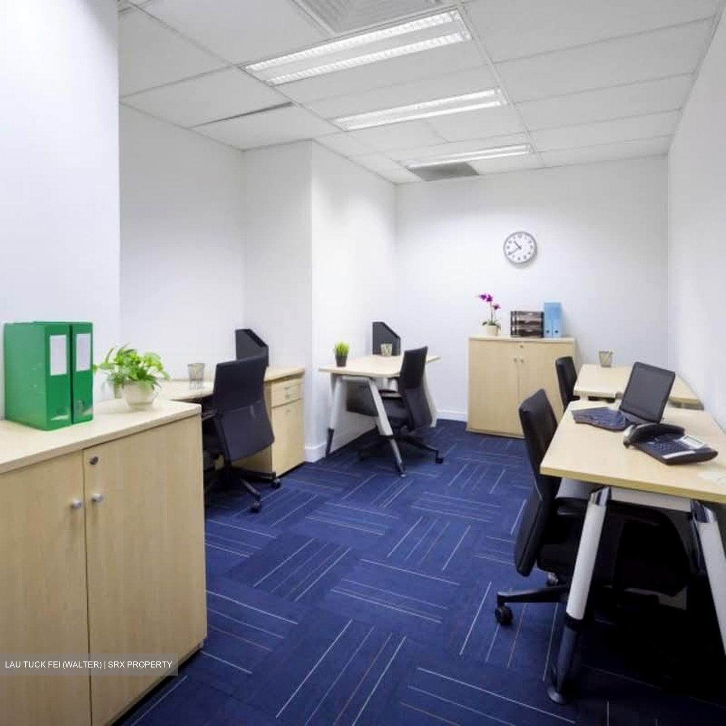 Park Avenue Rochester (D5), Office #539943361